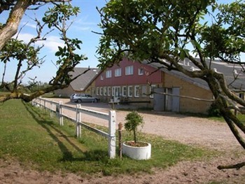 Vestjysk ridecenter Vestjysk ridecenter